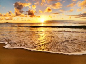 beautiful sunset on the  beach