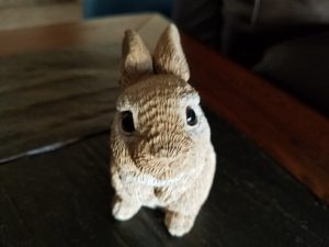 Bunny Small