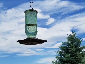 hummingbird feeder