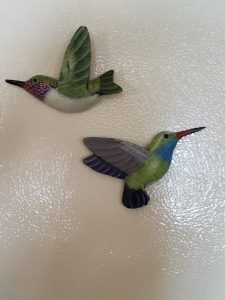 hummingbirds on fridge