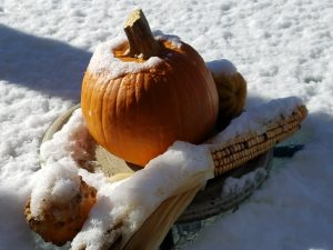 Pumpkin in the Snow