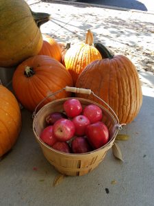 Apples and pumpkins