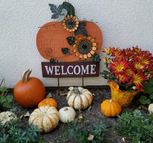 Pumpkin Garden