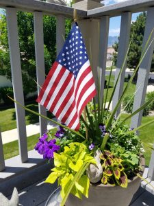 Flag in pot