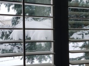 Snowy Window