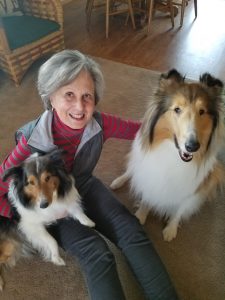 Pet therapy from my friend Beth's collie, Maisie, and her fur friend Duchess.